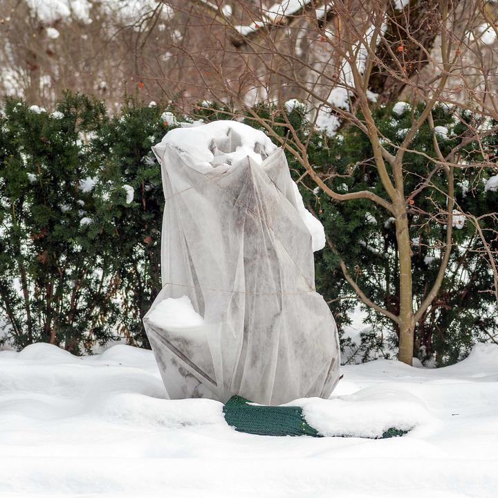 Immagine prodotto Toboli 2x piante protettive invernali 120x180cm 70g/m² protezione antigelo copertura protettiva in pile