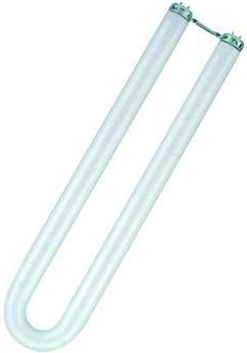 Bianco neutro