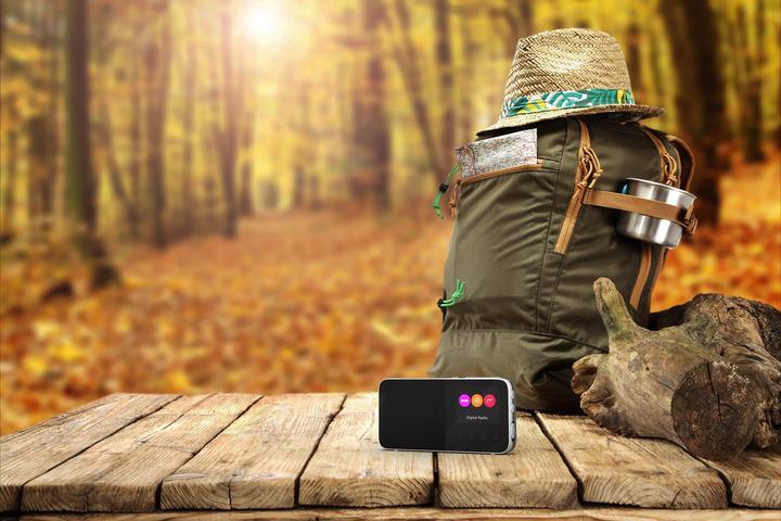 Actual product image Pure Move T4 (DAB+, Bluetooth)