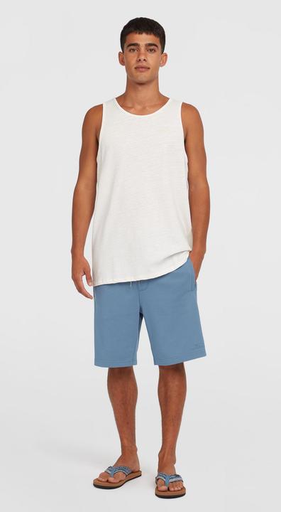 Actual product image O'Neill Small Logo Sweatshorts (S)