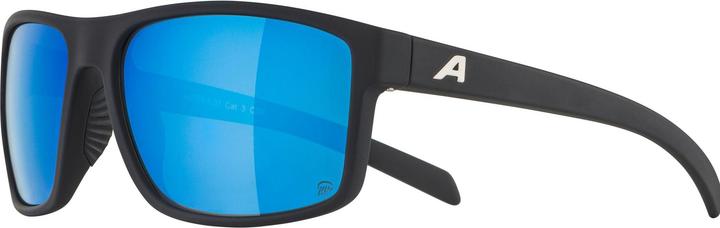 Image du produit ALPINA SPORTS Nacan I Pol