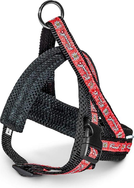 Produktbild Freezack Geschirr Nordic Mini Swiss (33, 34, 35, 36, 37, 38, 39, 40, 41, 42, Hund)