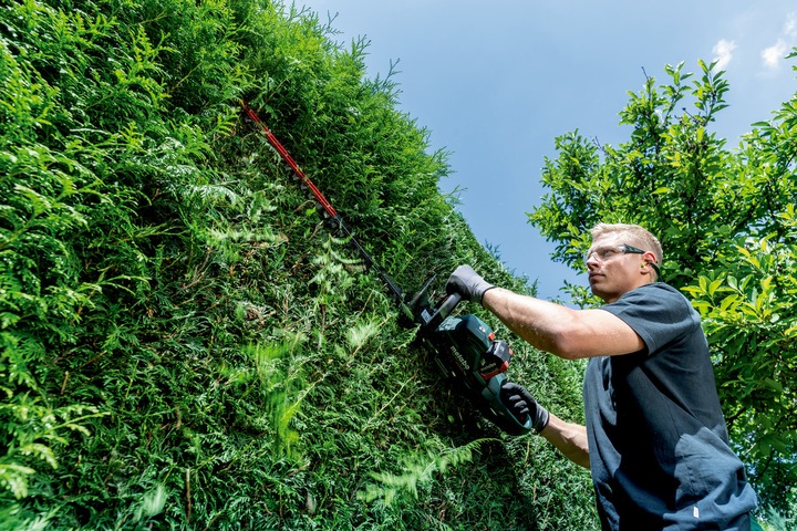 Image du produit Metabo HS 18 LTX BL 65 (Taille-haies sans fil)