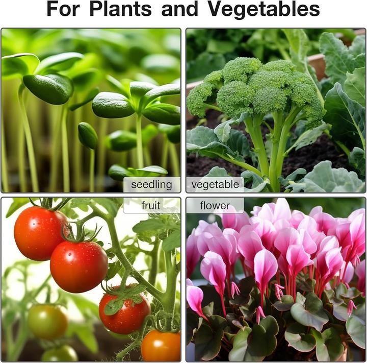 Immagine prodotto Mojimdo Heizmatte mit Thermostat (50 W)