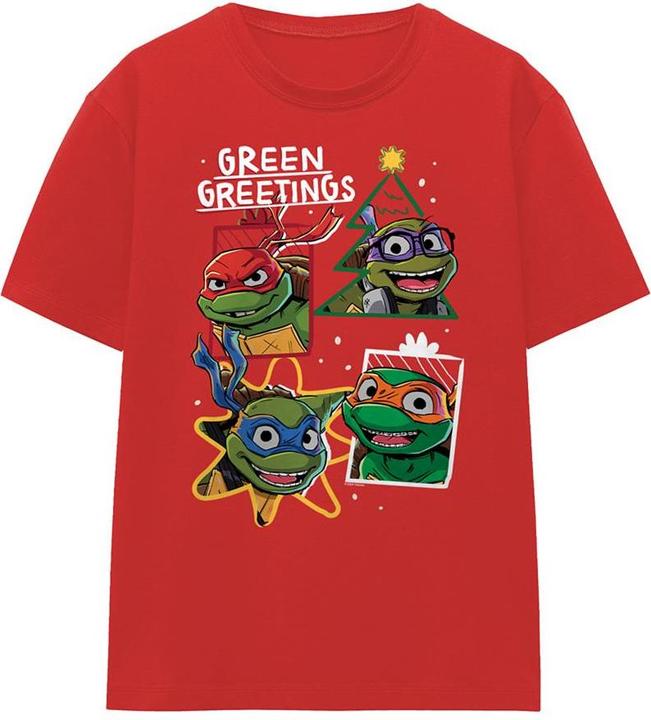 Actual product image Teenage Mutant NT Womens/Ladies Green Greetings Christmas T-Shirt (XXL)