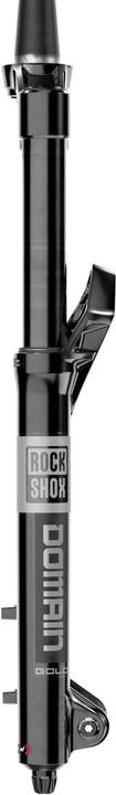 Produktbild RockShox Domain Gold Isolator RC3 (180 mm, Luft)