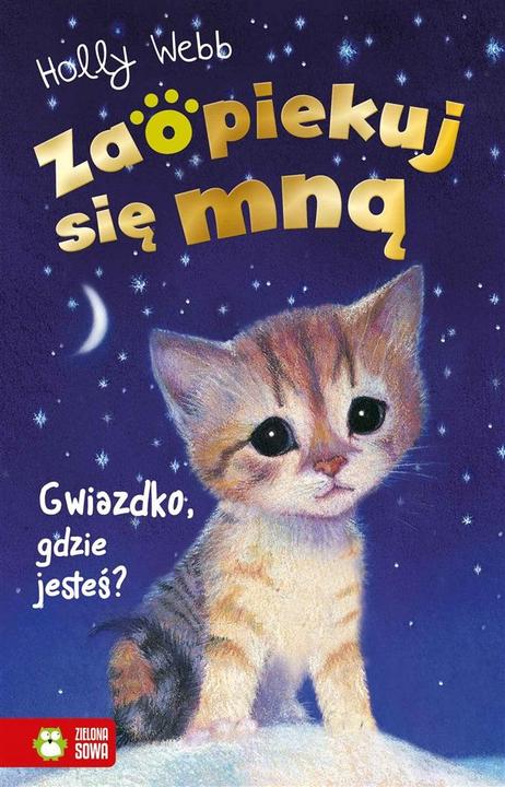 Produktbild Zielona Sowa Pass auf mich auf. Weihnachten, wo bist du?