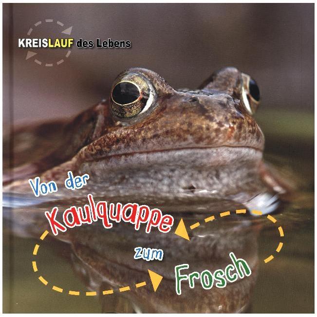Von der Kaulquappe zum Frosch, Kinderbücher von Camilla de la Bedoyere