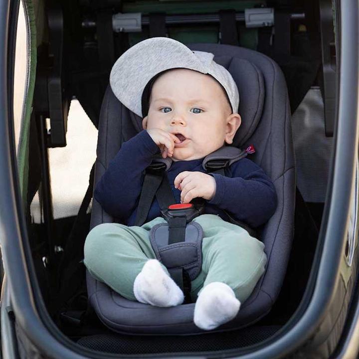Actual product image hamax Baby insert
