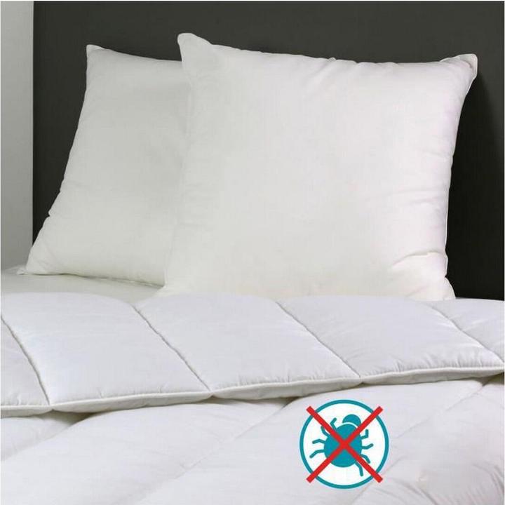 Produktbild Dodo Kissen 60 x 60 cm (60 x 60 cm)