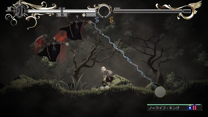 Image du produit 2K Games Record of Lodoss War : Deedlit à Wonder Labyrinth (Switch, Multilingue)