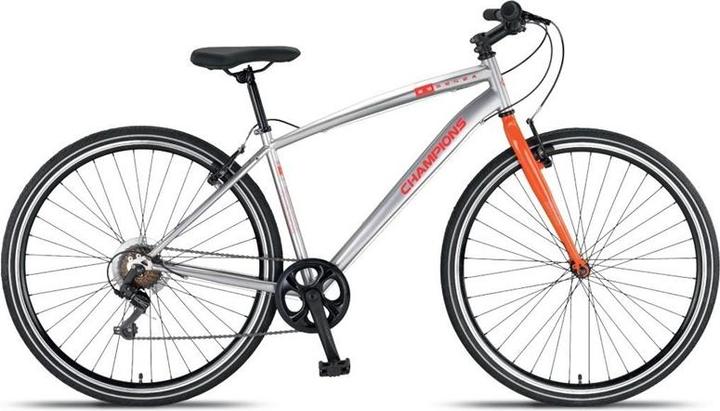 Actual product image Champions Bicycle hybrid, 28 ", silver