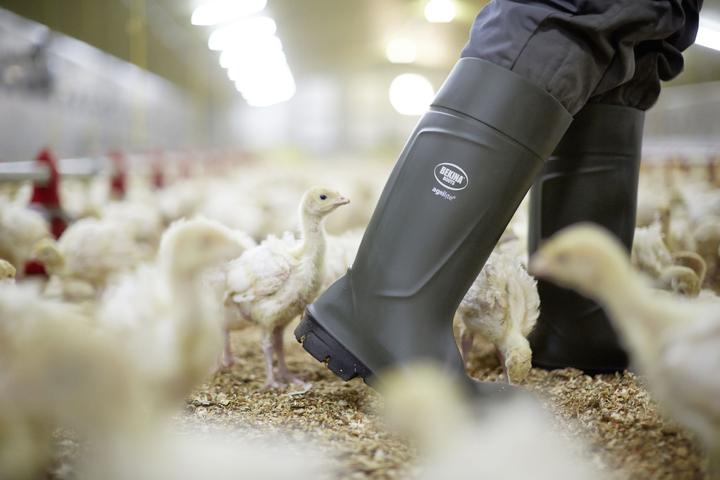 Image du produit Magni Bekina Agrilite Gr. 36 Bottes de sécurité S5 (36)