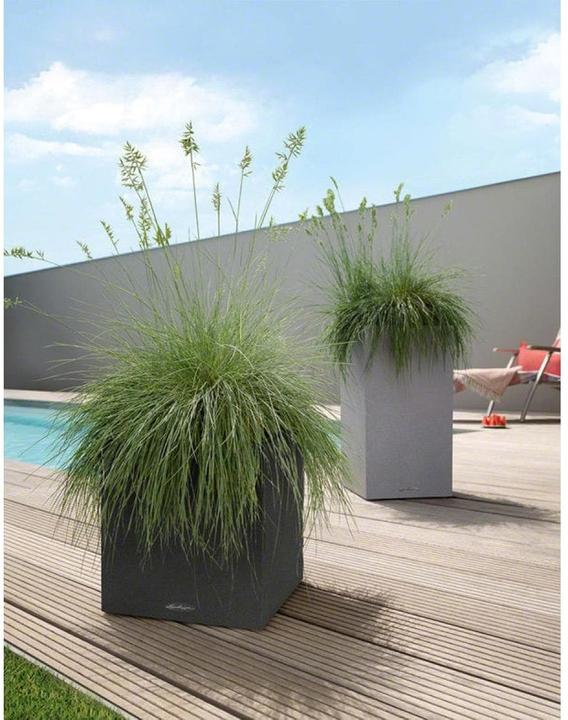 Image du produit Lechuza Colonne Canto Color (30 x 30 x 56 cm)
