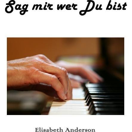 Sag mir wer Du bist, Belletristik von Elisabeth Anderson