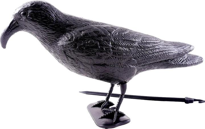 Siena Garden Taubenschreck Schwarzer Rabe