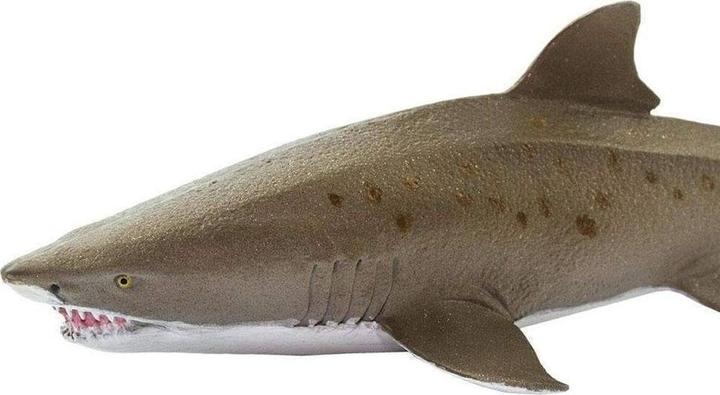 Produktbild Safari Sandtigerhai