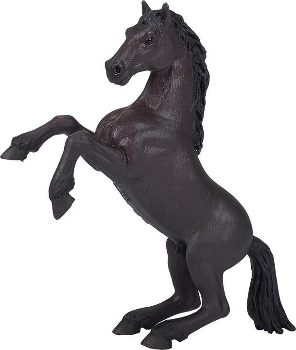 Schwarz