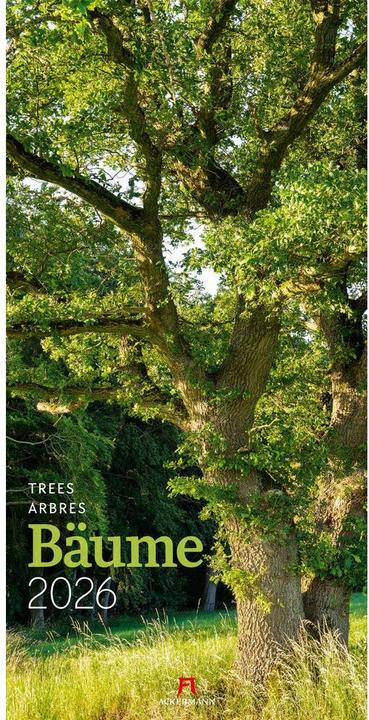 Image du produit Bäume Kalender 2026 (33 x 66 cm, Couverture rigide, Allemand, Anglais, Français)