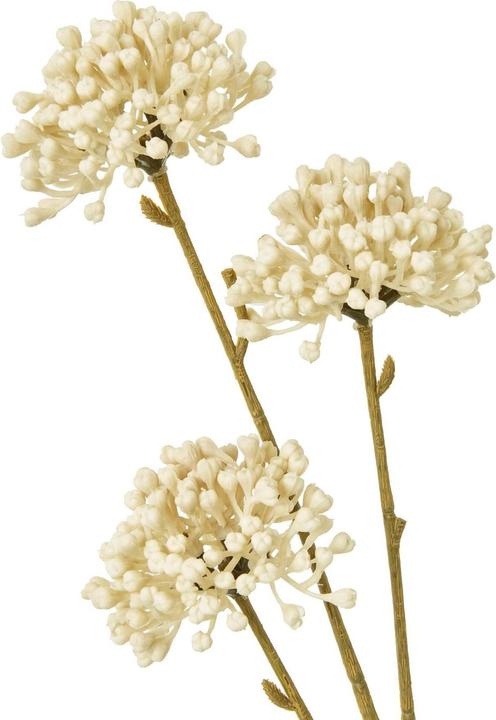 Produktbild Hill Interiors Kunstblume (60 cm)