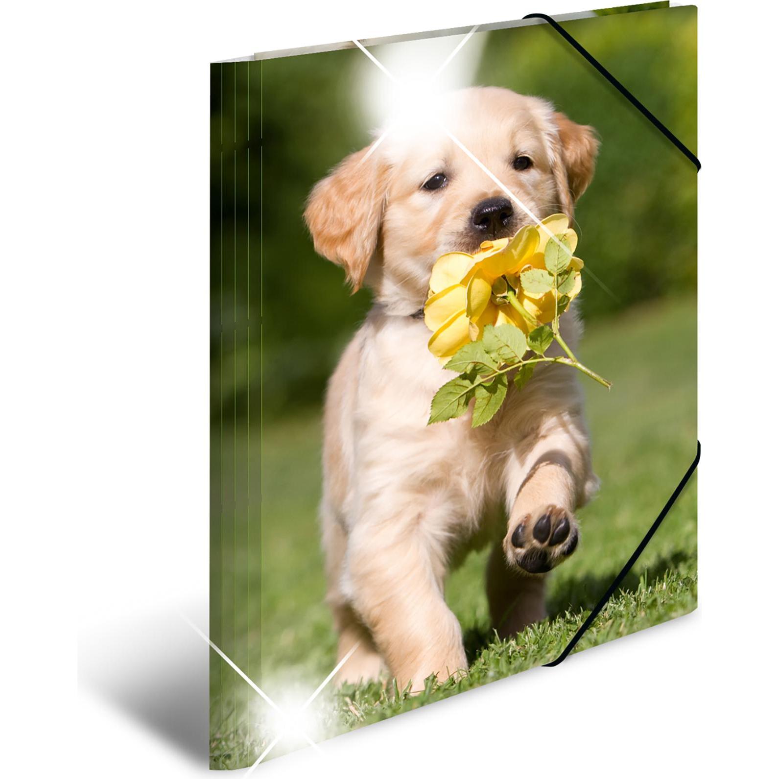 Herma, Mappe, Eckspannermappe "Hunde", PP Glossy, DIN A3 Masse: (B)315 x (T)4 x (H)440 mm, mit 3 Innenklappen (A4, 1 x)