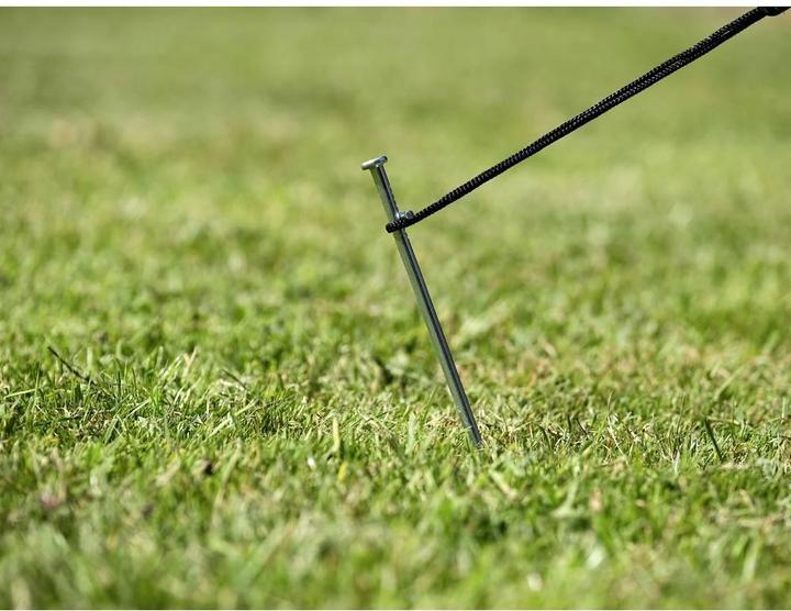 Actual product image Calima 46021 Tent peg 230 mm x 6 mm x 6 mm 10 pcs.