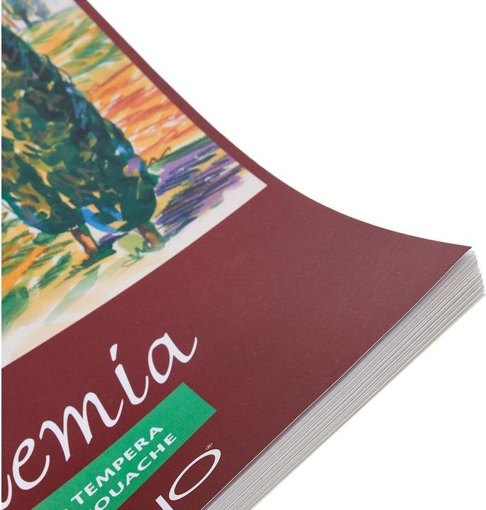 Image du produit Fabriano Academia Drawing (A3, Blanc)