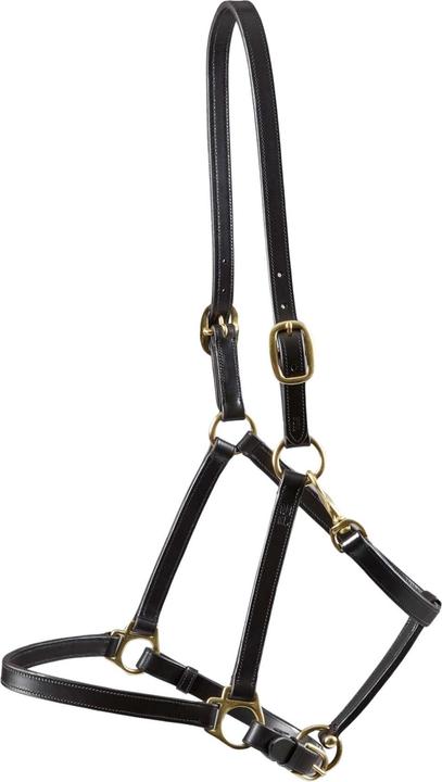 Image du produit Premier Equine Licol pour cheval en cuir