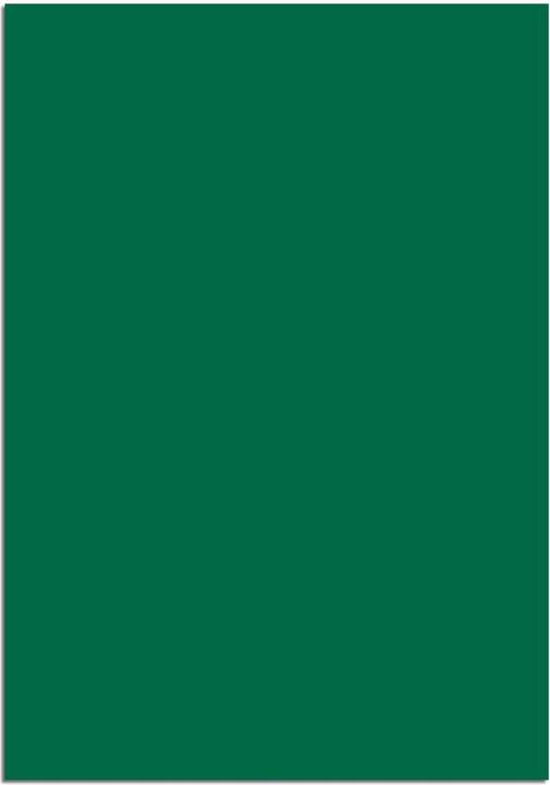 Actual product image Maul Magnet sheet A4 green (1 x)