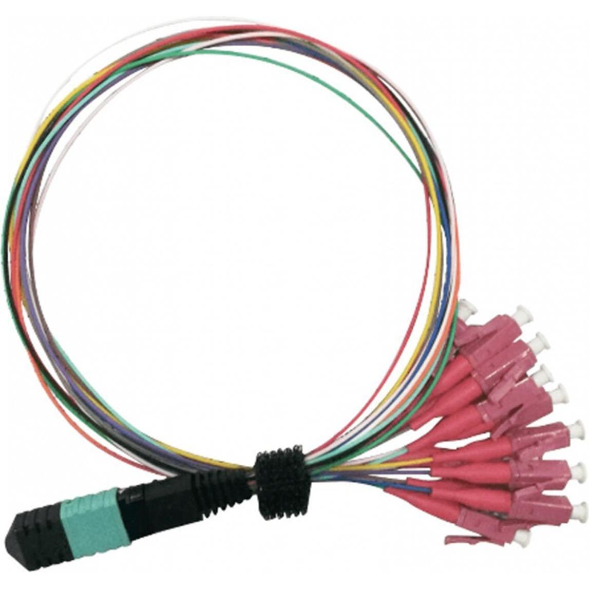 Value MPO-Fanout Kabel OM4 MPO/12xLC 2m (CAT6, 2 m) (21.99.1100)
