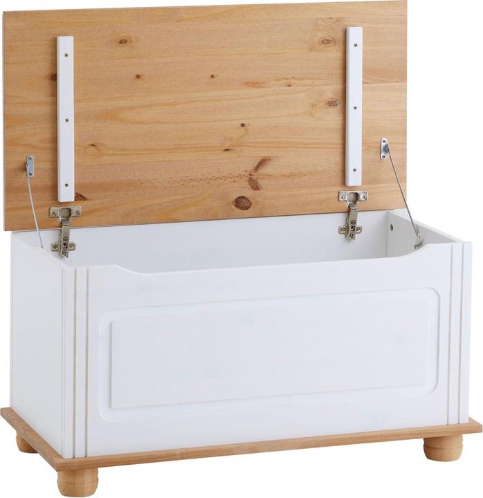 Image du produit IDIMEX Bristol (85 cm)