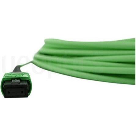 Thumbnail - BlueOptics LWL MPO/APC Trunkkabel OM5 16 Kerne 50 Meter Typ C (50 m), Netzwerkkabel