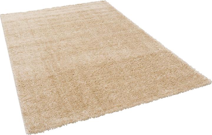 Produktbild Pergamon Hochflor Langflor Teppich Aloha (60 x 110 cm)