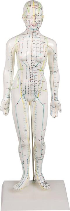 Erler Zimmer Chinesische Akupunkturfigur, weiblich