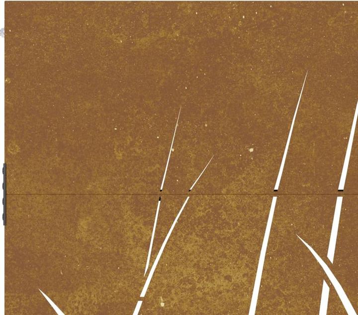 Produktbild vidaXL Gartentor