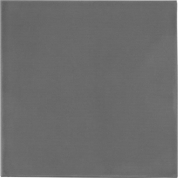 Actual product image Thermal Grizzly TG Minus Pad Extreme V2 - 100x 100x 0,5mm (0.50 mm)