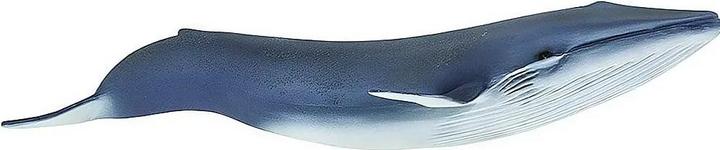 Image du produit Safari Baleine bleue
