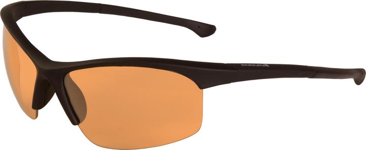 Actual product image Endura Lunettes STINGRAY Noir 4 Paires De Verres Polarisants 2012 (Black)