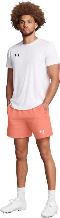 Produktbild Under Armour Challenger Pro Shorts (L)