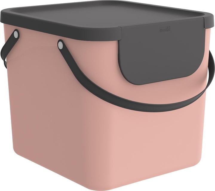 Actual product image Rotho Storage system 40 l ALBULA (40 l)