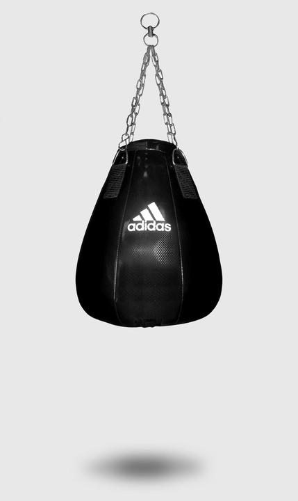 Produktbild adidas Maize Bag Maya (8 kg)