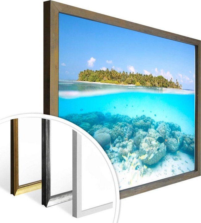 Image du produit Trenddeko Le monde sous-marin des Maldives (80 x 60 cm)