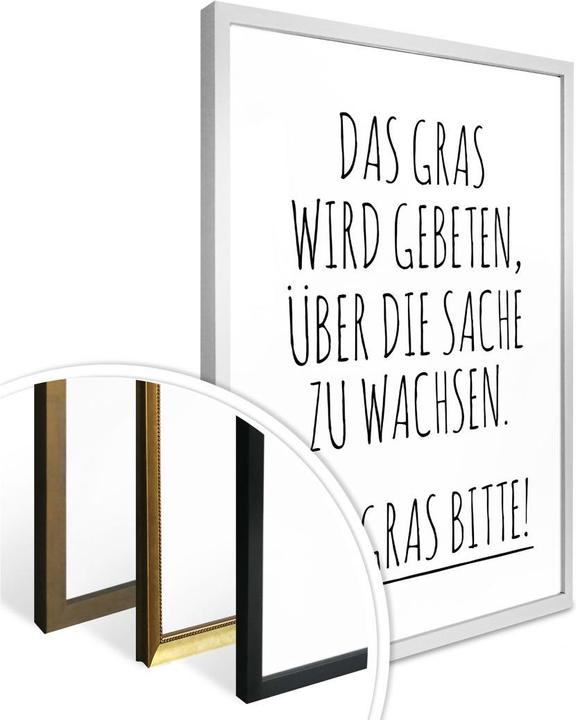 Immagine prodotto Trenddeko Si chiede che l'erba cresca sulla questione. (40 x 50 cm)