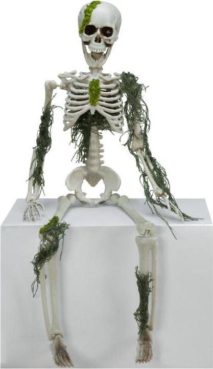 Actual product image Europalms Halloween skeleton with moss, 40cm