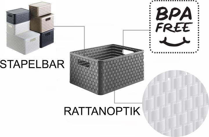 Immagine prodotto Rotho Country (37 x 28 x 19,5 cm, 18 l)