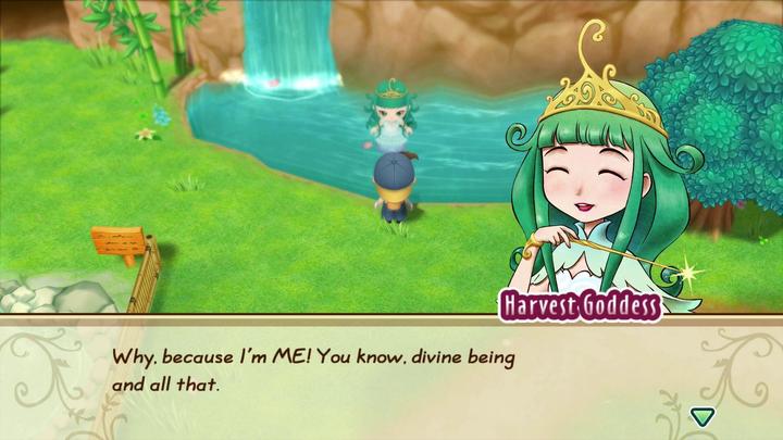 Actual product image Marvelous Story of Seasons: Friends of Mineral Town (Switch, DE)