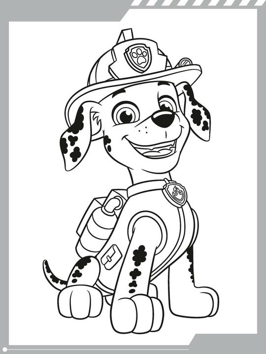 Actual product image PAW Patrol Kindergartenheft: Malspass mit den Fellfreunden