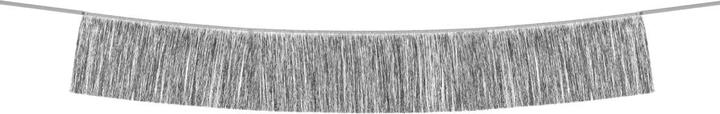 Image du produit Partydeco Guirlandes de franges d'argent (1 pièce(s))