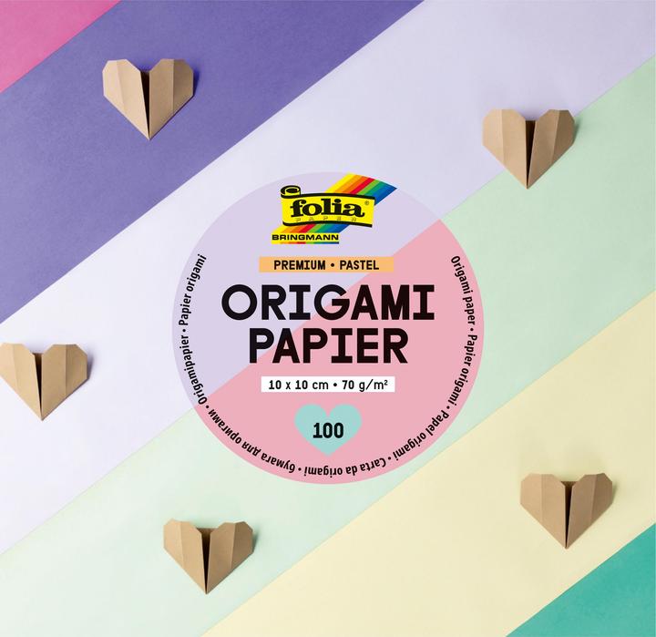 Image du produit Folia Dépliants pastel multicolores 100 feuilles (70 g/m², 100x)
