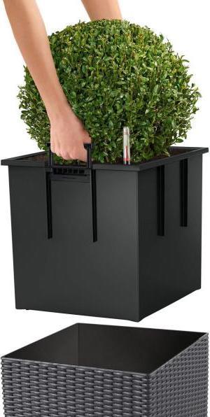 Image du produit Lechuza Cube Cottage (40 cm)